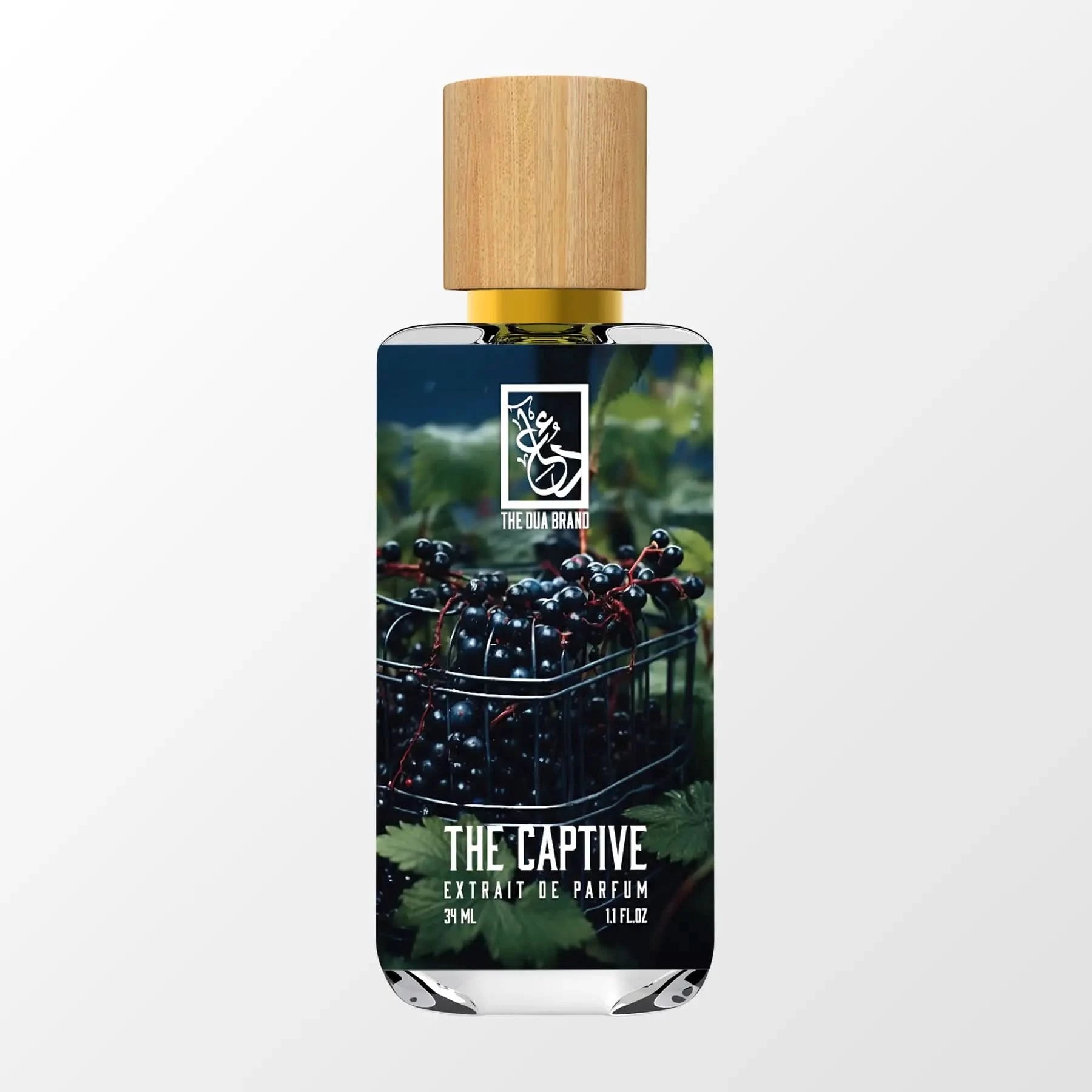 the-captive-front the-captive-front
