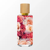 her-rose-journey-front