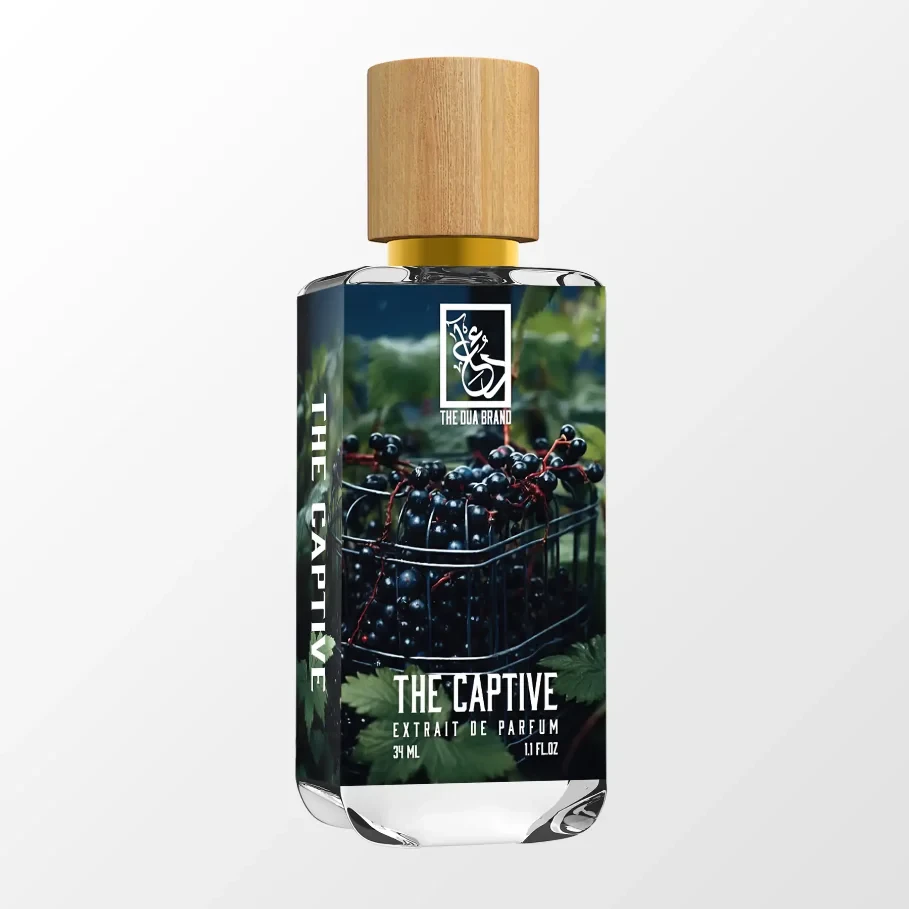 the-captive-tilted the-captive-tilted