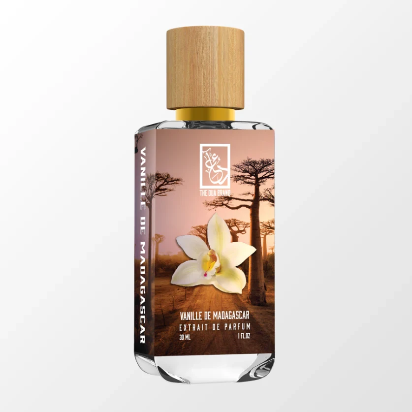 vanille-de-madagascar-tilted vanille-de-madagascar-tilted