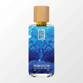 poseidons-reflection-front