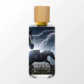 reins-of-the-steed-front