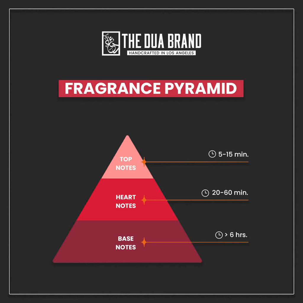 Everything You Need To Know About Fragrance Notes
