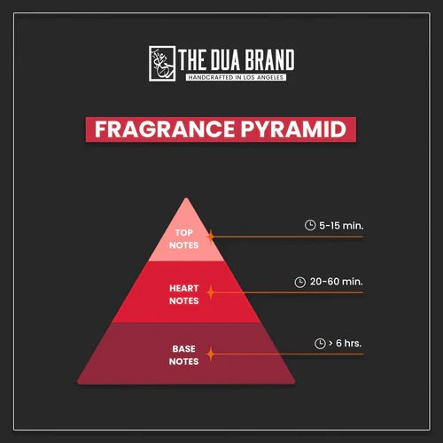 Everything You Need To Know About Fragrance Notes