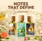 Top 10 Summer Perfume Notes That Instantly Create Good Summer Fragrances