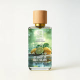 22-shades-of-dolce-solaris-front