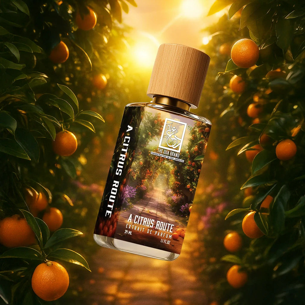 a-citrus-route-1-tilted