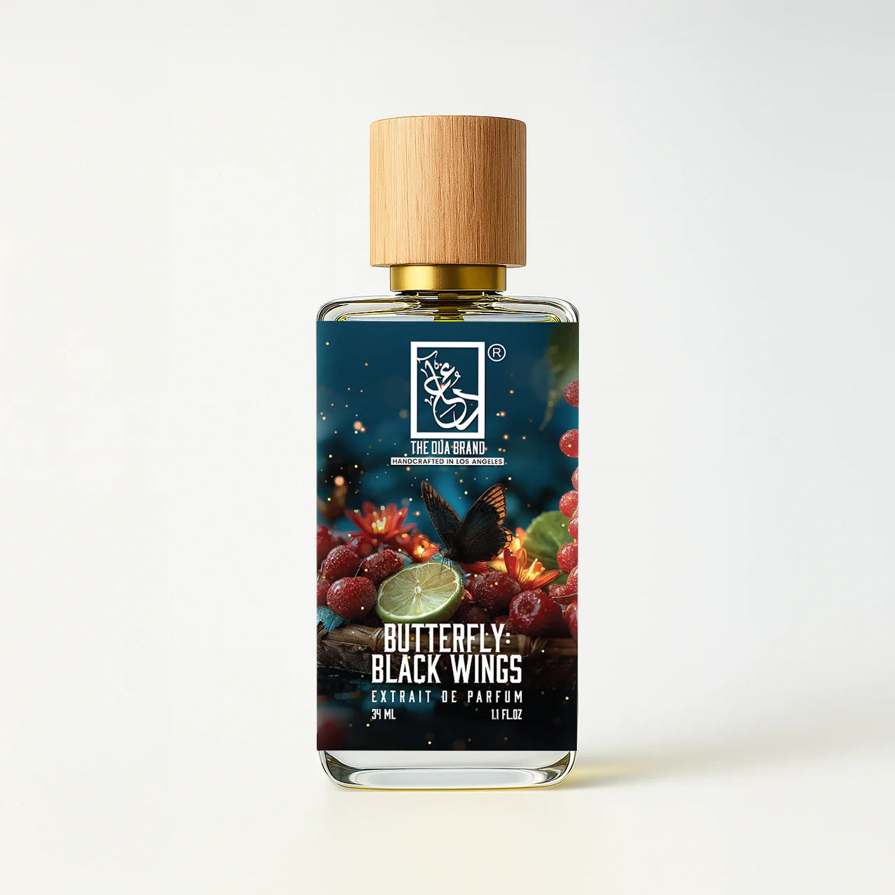 butterfly-black-wings-front