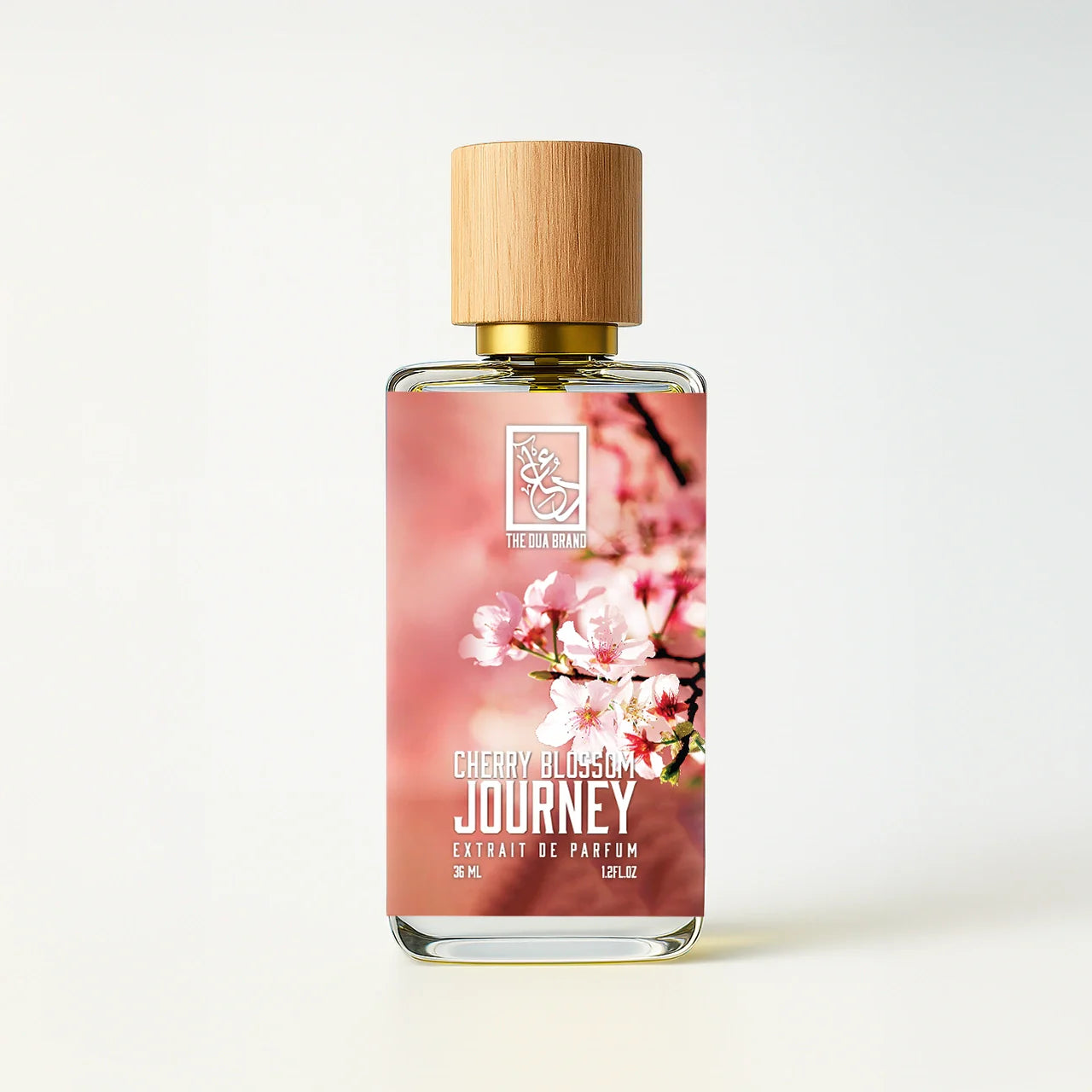 cherry-blossom-journey-front