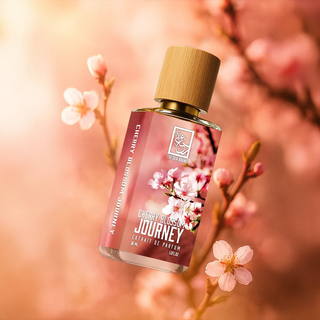 cherry-blossom-journey-tilted