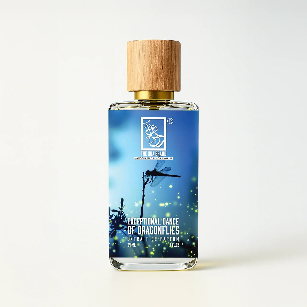 front-exceptional-dance-of-dragonflies