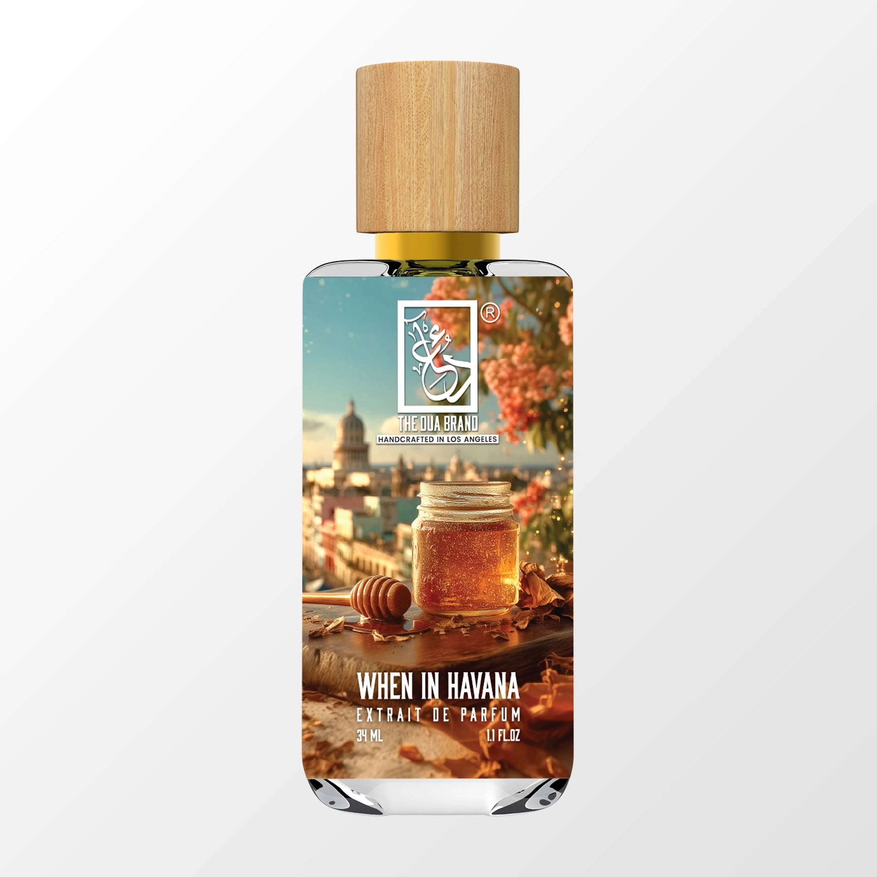 when-in-havana-front