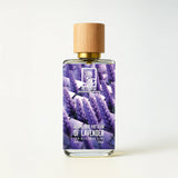 Geometric Pattern Of Lavender