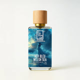 her-bleu-welsh-sea-front