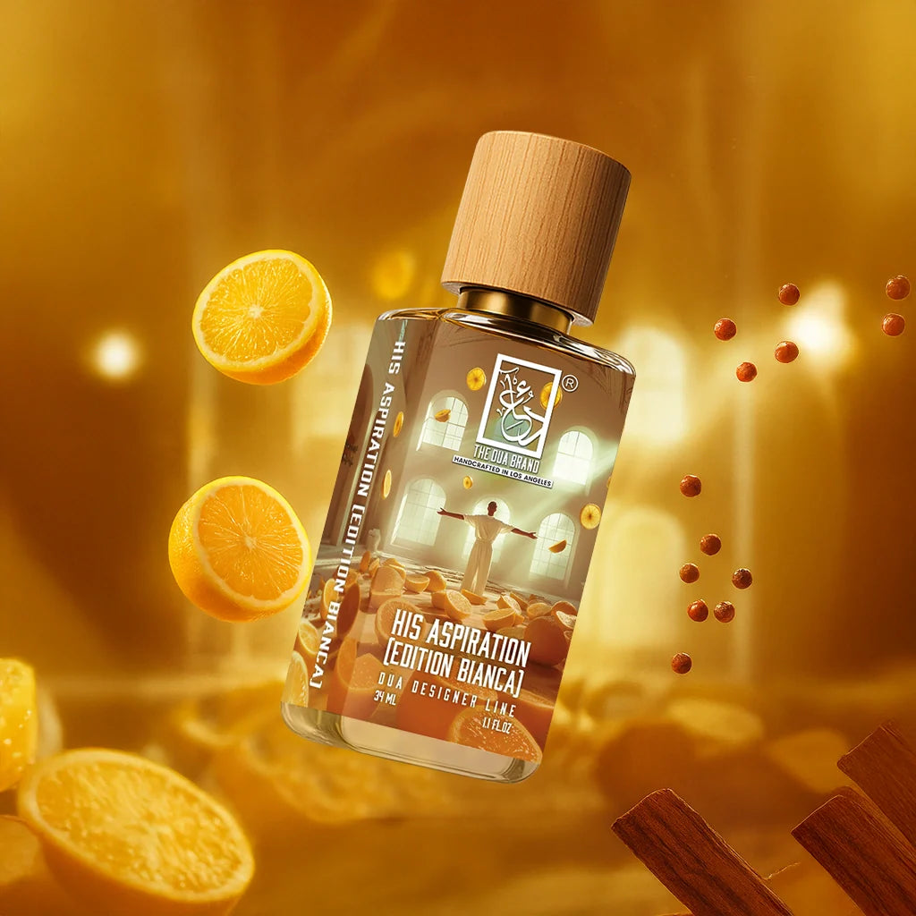 His Aspiration (Edition Bianca)