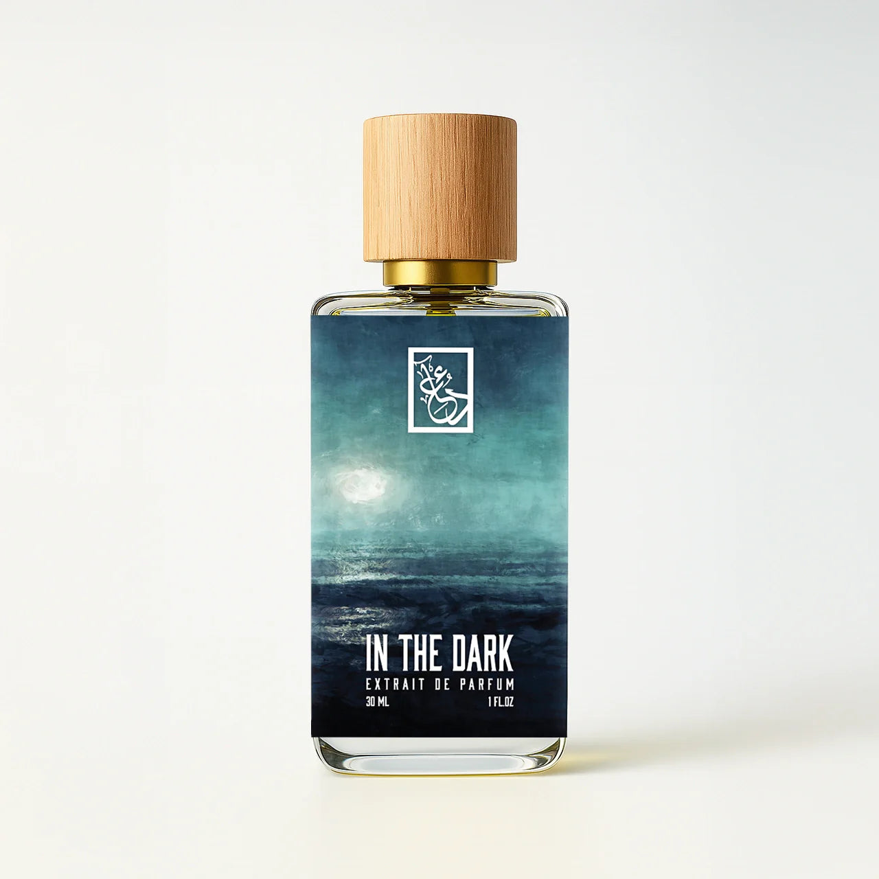 in-the-dark-front