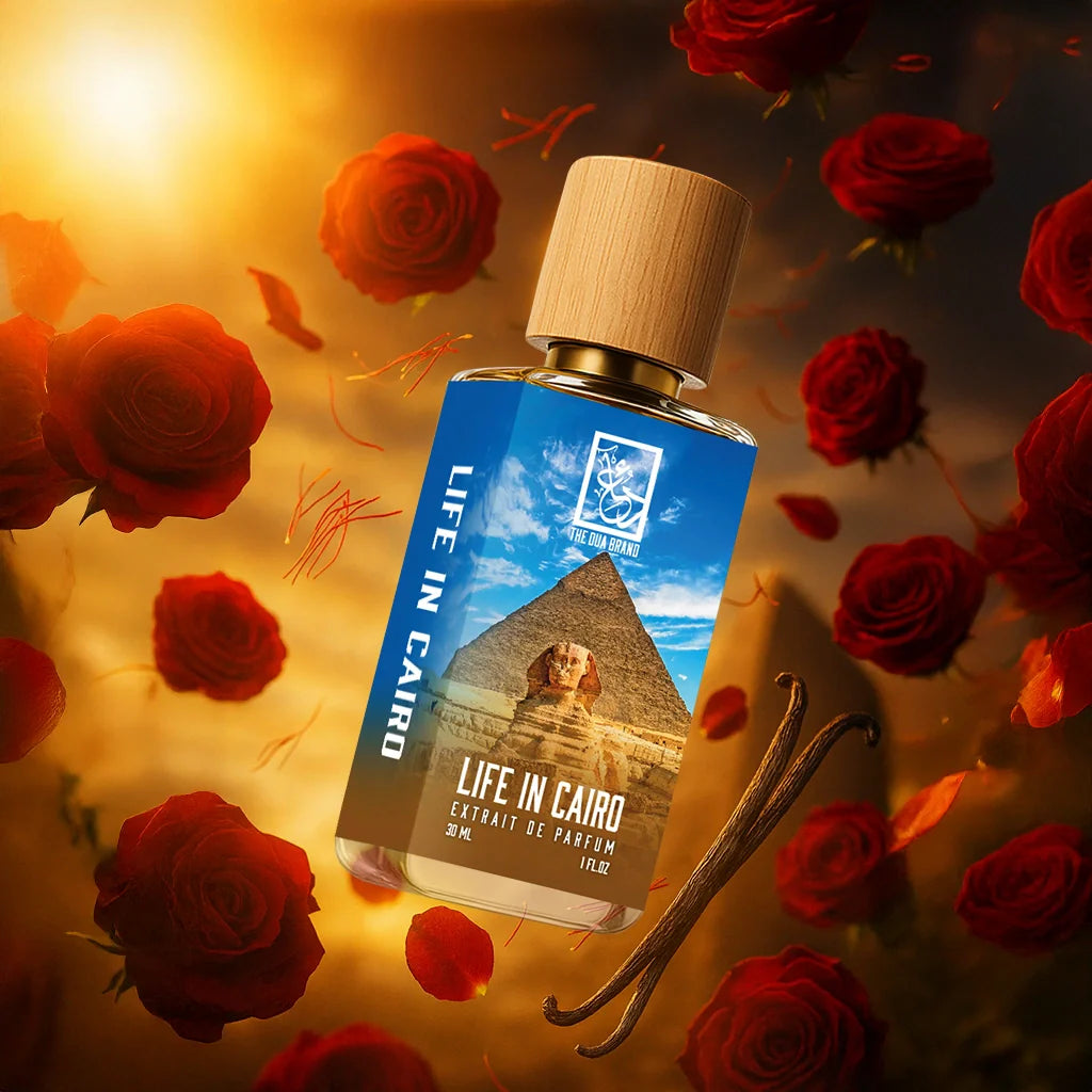 life-in-cairo-tilted