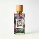 m-lady-s-affair-front