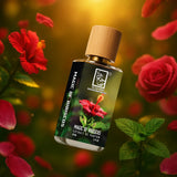 magic-of-hibiscus-tilted