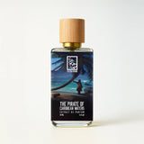 the-pirate-of-caribbean-waters-front