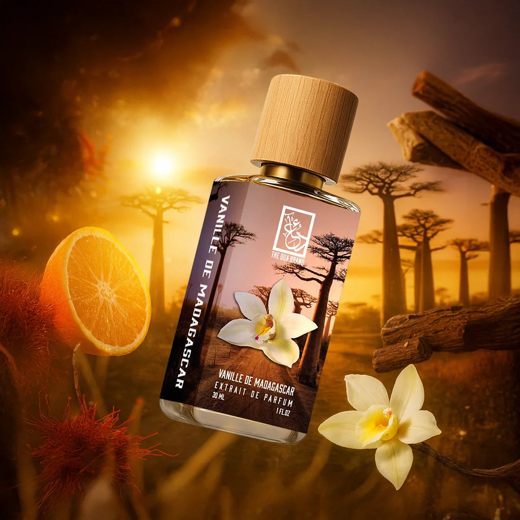vanille-de-madagascar-tilted