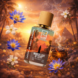 Wander Light Of Egypt