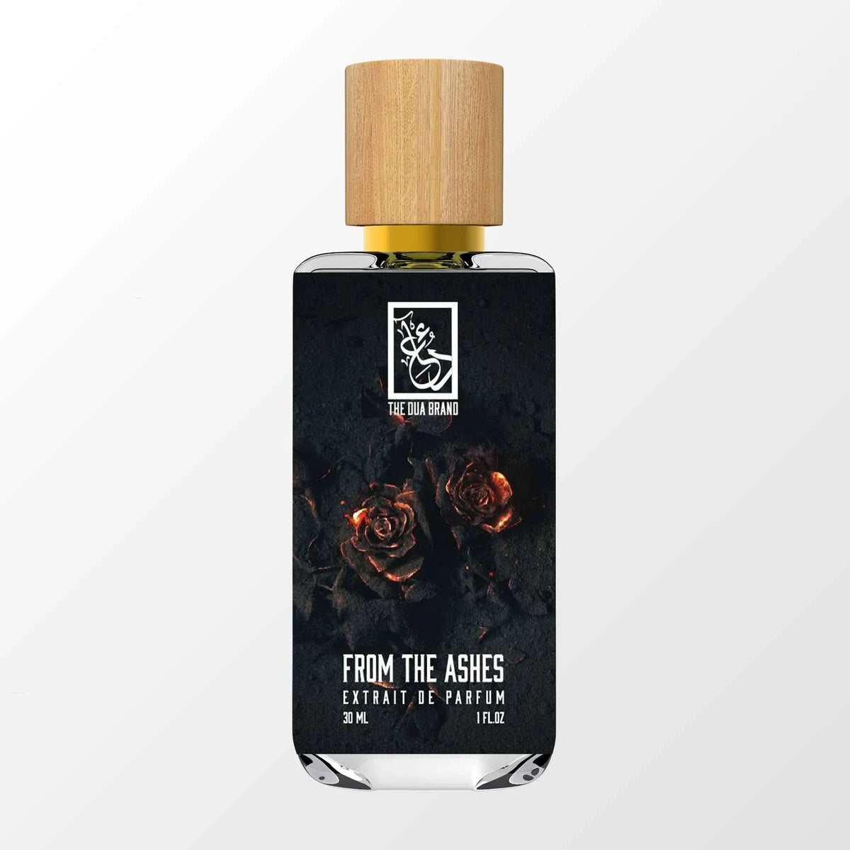 from-the-ashes-front