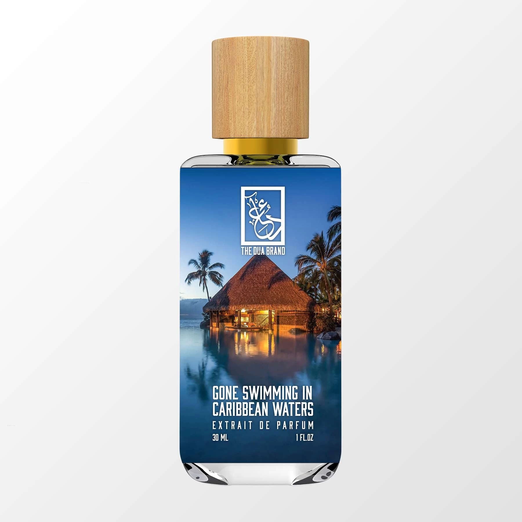 LOUIS VUITTON ON THE BEACH FRAGRANCE REVIEW  HOW DOES IT COMPARE TO  AFTERNOON SWIM? 